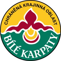 020975 020975